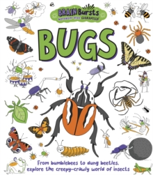 Image for Bugs  : from bumblebees to dung beetles, explore the creepy-crawly world of insects