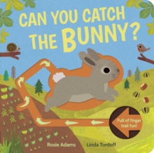 Image for Can you catch the bunny?