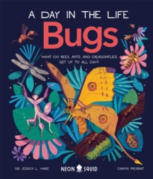 Bugs (A Day in the Life): What Do Bees, Ants, and Dragonflies Get up to All Day?