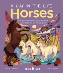 Image for Horses  : what do wild horses like mustangs and ponies get up to all day?
