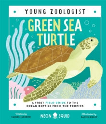 Image for Green sea turtle  : a first field guide to the ocean reptile from the Tropics
