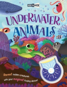 Image for Hide-and-Seek Underwater Animals