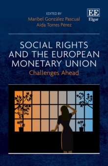 Image for Social Rights and the European Monetary Union