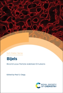 Image for Bijels: Bicontinuous Particle-stabilized Emulsions