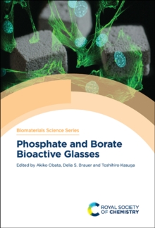 Image for Phosphate and borate bioactive glasses