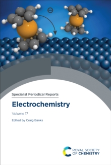 Image for Electrochemistry. Volume 17