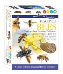 Discover Bees: A Guide to These Amazing Pollinators