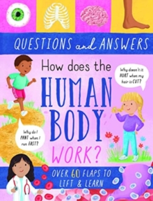 Image for How Does the Human Body Work?
