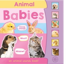 Image for Animal babies  : an animal sounds book!