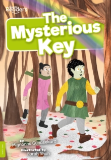 Image for The mysterious key