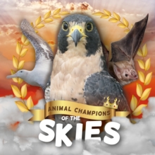 Image for Skies