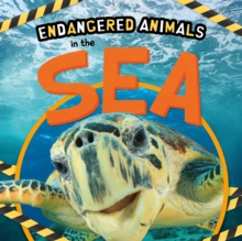 Image for Endangered animals in the sea