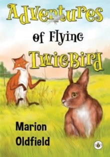 Image for Adventures of Flying TwigBird