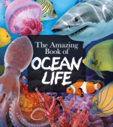 Image for The Amazing Book of Ocean Life