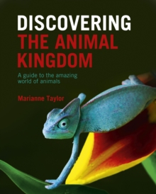Image for Discovering the animal kingdom  : a guide to the amazing world of animals