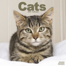 Image for Cats 2021 wall Calendar