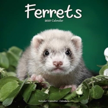 Image for Ferrets 2021 Wall Calendar