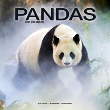 Image for Pandas 2021 Wall Calendar