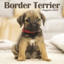Image for Border Terrier Puppies Mini Square Wall Calendar 2021