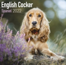 Image for English Cocker Spaniel 2022 Wall Calendar