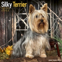 Image for Silky Terrier 2022 Wall Calendar