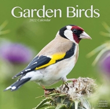 Image for Garden Birds 2022 Wall Calendar