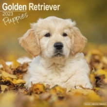 Image for Golden Retriever Puppies 2023 Wall Calendar