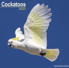 Image for Cockatoos 2023 Wall Calendar