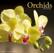 Image for Orchids 2023 Wall Calendar