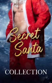 Image for Secret Santa: A Pride Publishing Box Set