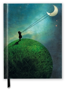 Image for Catrin Welz-Stein: Chasing the Moon (Blank Sketch Book)