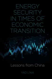 Energy Security in Times of Economic Transition: Lessons from China