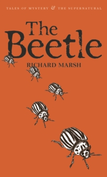 Image for The Beetle : A Mystery