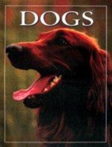 Image for Dogs