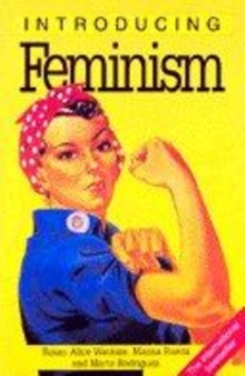 Image for Introducing feminism