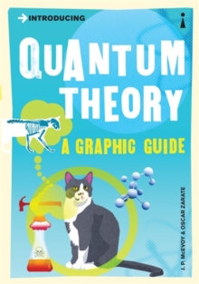 Image for Introducing quantum theory