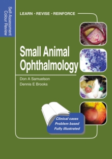 Image for Small animal ophthalmology