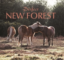 Image for Perfect New Forest