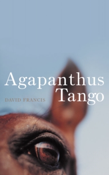 Image for Agapanthus tango