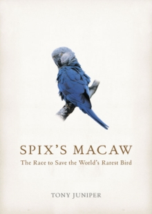 Image for Spix's Macaw  : the race to find the world's rarest bird