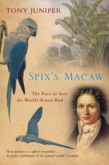 Image for Spix’s Macaw
