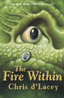 Image for The Last Dragon Chronicles: The Fire Within