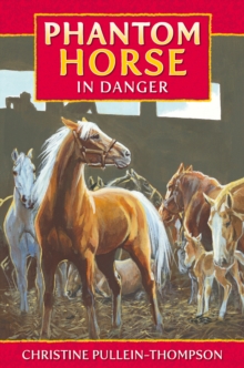 Image for Phantom horse in danger