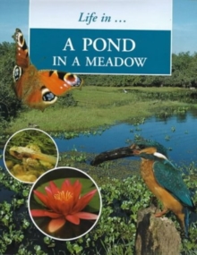 Image for Life in a pond in a meadow