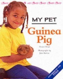 Image for MY PET GUINEA PIG