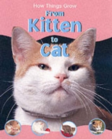 Image for From kitten to cat