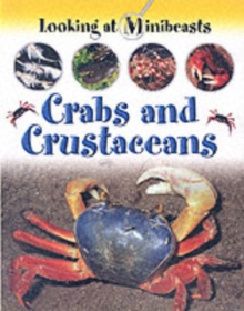 Image for Crabs and crustaceans