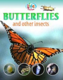 Image for Butterflies and other insects