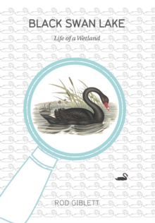 Image for Black swan lake  : life of a wetland