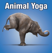 Animal Yoga
